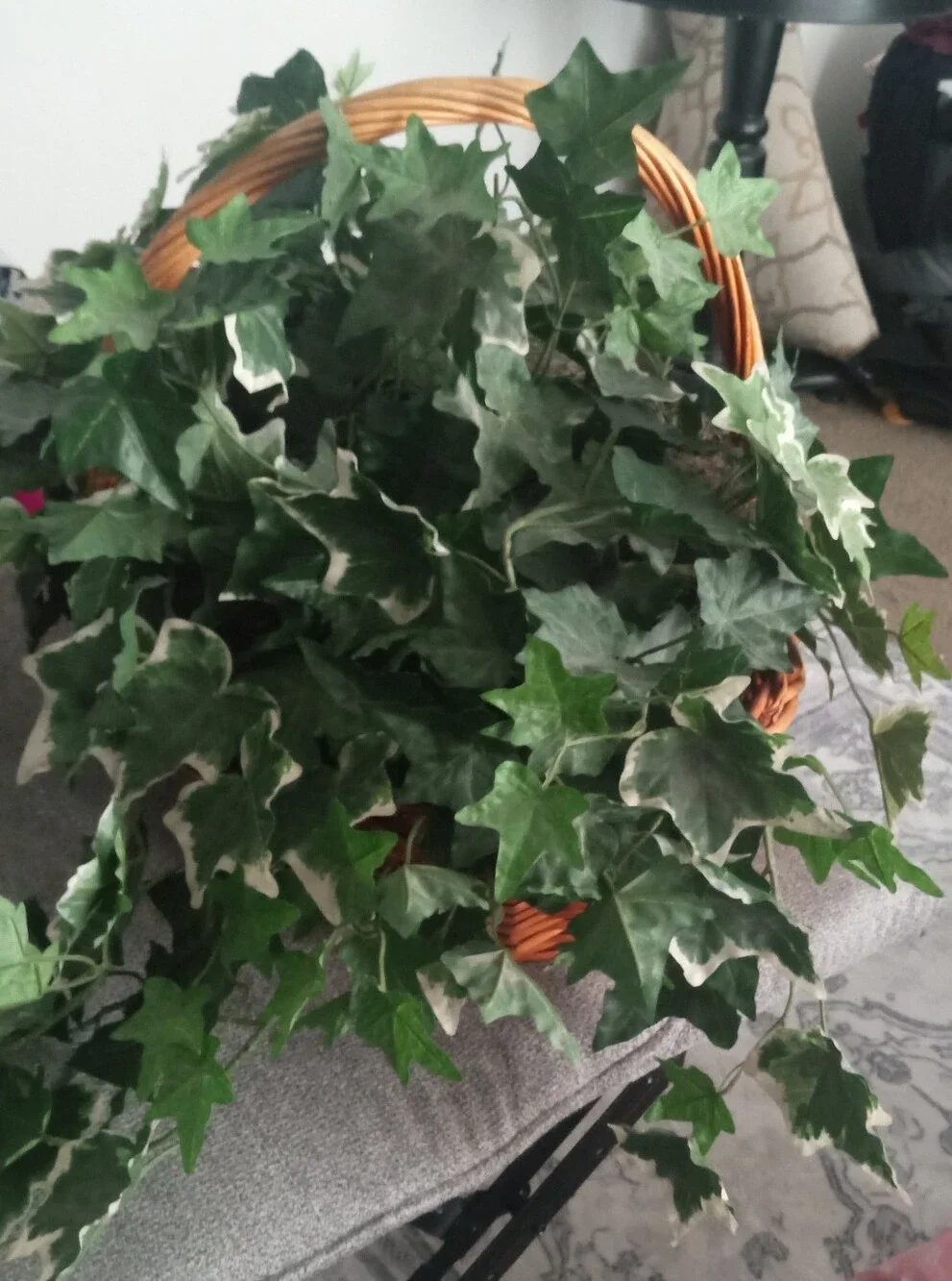 Faux Ivy Basket Plant - Lush Variegated Green Leaves